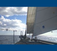 Trinqueta Hanse 461